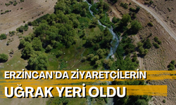 Erzincan’da ziyaretçilerin uğrak yeri oldu