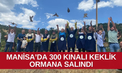 3 yıl boyunca av yasağı uygulanacak ! 300 kınalı keklik doğaya bırakıldı