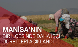 Manisa’nın bir ilçesinde daha işçi ücretleri açıklandı | Üzüm hasadı öncesi işçi ücretleri belli oldu