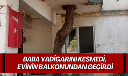 İbrahim Uğurlu, baba yadigarı ağacı kesmedi, evinin balkonundan geçirdi