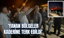 Başevirgen’den Salihli ve Gördes yangınları hakkında açıklama | ‘Gece görüşlü helikopter ve uçakların sayısı azdı’