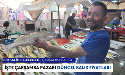 Pazarda Balık Fiyatları 14 Ağustos | Balıkçılar sezonu dört gözle bekliyor…