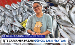 Pazarda Balık Fiyatları 21 Ağustos | Eylül’de sezon başlıyor…