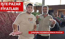 Salihli için Pazardaki Güncel Fiyatlar 28 Ağustos | Kornişon ve ceviz tezgahlara indi