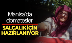 Manisa’da domatesler salçalık için hazırlanıyor