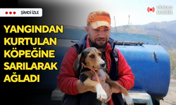 Yangından sağ kurtulan köpeğine sarılan sahibi gözyaşlarına boğuldu