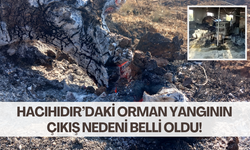 Salihli’de 50 hektar ormanlık alan küle dönmüştü | Yangının çıkış sebebi ile ilgili ilk sonuçlar geldi