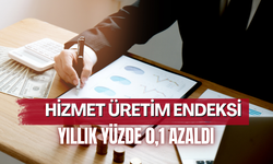 Hizmet üretim endeksi yıllık yüzde 0,1 azaldı