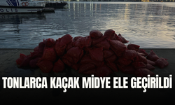 Tonlarca kaçak midye ele geçirildi