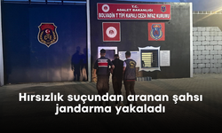 Hırsızlık suçundan aranan şahsı jandarma yakaladı