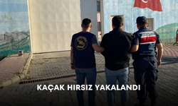 Kaçak hırsız yakalandı