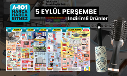 A101 Aktüel 5 Eylül 2024 Kataloğu | İndirimli tüy toplama rulosu 25 TL, Dyson Muadili Şekillendirici 499 TL