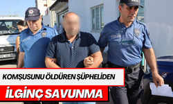 Komşusunu öldüren şüpheliden ilgin savunma