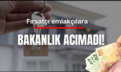 Bir günde fiyatı 1 milyon 750 bin lira artmıştı... Fırsatçılığa Bakanlık acımadı!