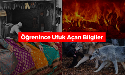 Bunları Biliyor muydunuz? | Deyimlerin İlginç Kökenleri