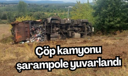 Kontrolden çıkan çöp kamyonu şarampole yuvarlandı: 3 kişi yaralandı