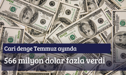 Cari denge Temmuz ayında 566 milyon dolar fazla verdi