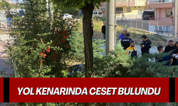 Yol kenarında ceset bulundu