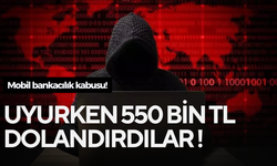 Mobil bankacılık kabusu! İnterneti bile açık değildi...