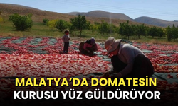 Malatya’da Domatesin kurusu yüz güldürüyor