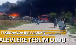 Tekirdağ'da bir fabrika alevlere teslim oldu