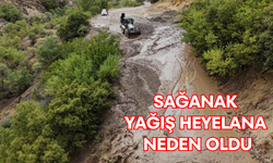 Sağanak yağış heyelana neden oldu