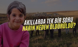 İlk kez ortaya çıktı, kaybolmadan 1 gün önce... 'Şimdi anladınız mı Narin neden öldürülmüş?'