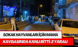 Sokak hayvanları için mama kavgasında kanlı bitti: 2 yaralı