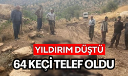 Yıldırım düştü: 64 keçi telef oldu