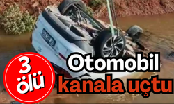 Kanala düşen otomobilde 3 kişi hayatını kaybetti