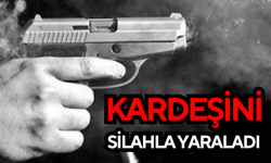 Kardeşini silahla yaraladı