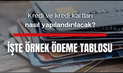 Kredi ve kredi kartları nasıl yapılandırılacak? İşte örnek ödeme tablosu