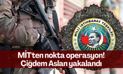 MİT'ten nokta operasyon! Çiğdem Aslan yakalandı