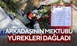 Mahalleden arkadaşları Narin'in mezarına çiçek bıraktı