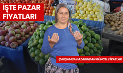 Salihli için Pazardaki Güncel Fiyatlar 18 Eylül Çarşamba | Mandalina, kivi ve biberiye tezgahta