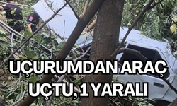 Uçurumdan araç uçtu, 1 yaralı