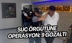 Suç örgütüne operasyon: 9 gözaltı