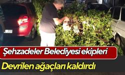 Şehzadeler Belediyesi ekipleri devrilen ağaçları kaldırdı