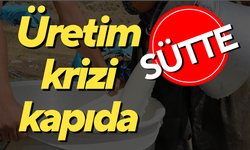 Çiğ süte yüzde 23 zam talebi | İşte istenen rakam !