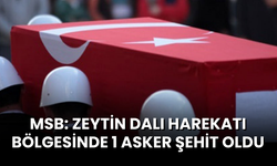 MSB: Zeytin Dalı Harekatı bölgesinde 1 asker şehit oldu