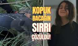 Son Dakika... Narin'in kopuk bacağının sırrı çözüldü!