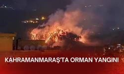 Kahramanmaraş'ta orman yangını