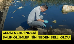 Gediz Nehri'nde balık ölümleri: Biyogaz iddiaları çürütüldü, kuraklık belirlendi