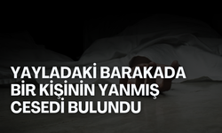 Yayladaki barakada bir kişinin yanmış cesedi bulundu