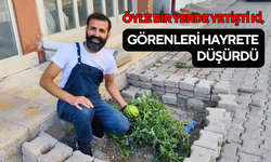 Öyle bir yerde yetişti ki, herkes şaşkın!