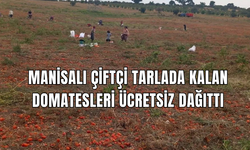 Bu yıl ürünler resmen tarlada kaldı ! Manisalı çiftçi tarlada kalan domatesleri ücretsiz dağıttı