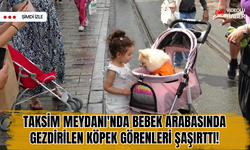 Taksim Meydanı'nda bebek arabasında gezdirilen köpek görenleri şaşırttı!