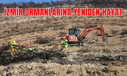 Doğa yeniden canlanıyor | İzmir'de yanan ormanlık alana 1 milyon 100 bin fidan dikilecek