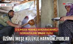 Doğanın mucizesi | O ilimizde meşe külüyle eşsiz pekmez üretimi renkli sahnelere şahit oluyor...