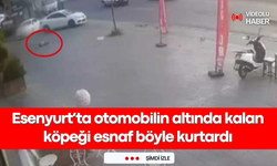 Esenyurt'ta nefes kesen kurtarma: Esnaf, otomobilin altında kalan köpeği böyle kurtardı!